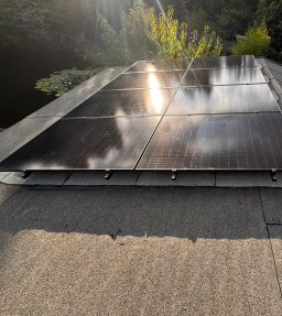 Solarmodule in der Natur Sonne spiegelt sich in Solarmodulen